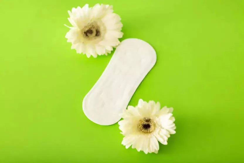 Saathi Bamboo Fiber Sanitary Napkins Panty Liner Pack -24 Pads Mytrendzcart