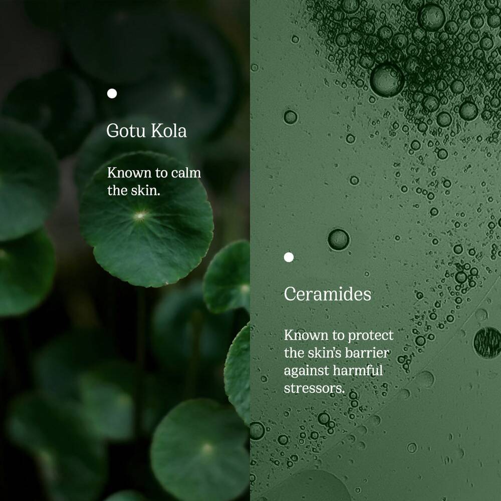 82°E By Deepika Padukone Moisturiser With SPF 40 PA+++ With Gotu kola and Ceramides, Hydrates Skin -50 ml Mytrendzcart