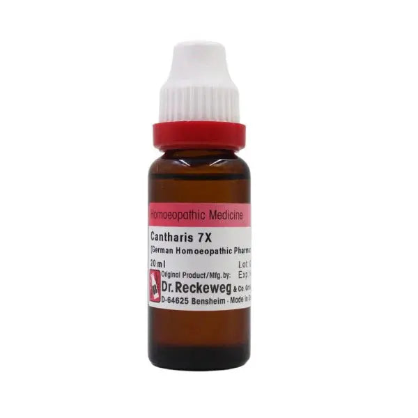 Dr. Reckeweg Cantharis Mother Tincture Q -20 ml - Q - Mytrendzcart