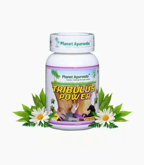 Planet Ayurveda Gokshura Power - Mytrendzcart
