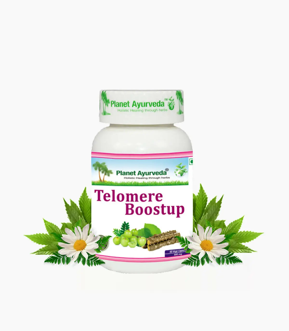 Planet Ayurveda Telomere Boostup Capsules - Mytrendzcart