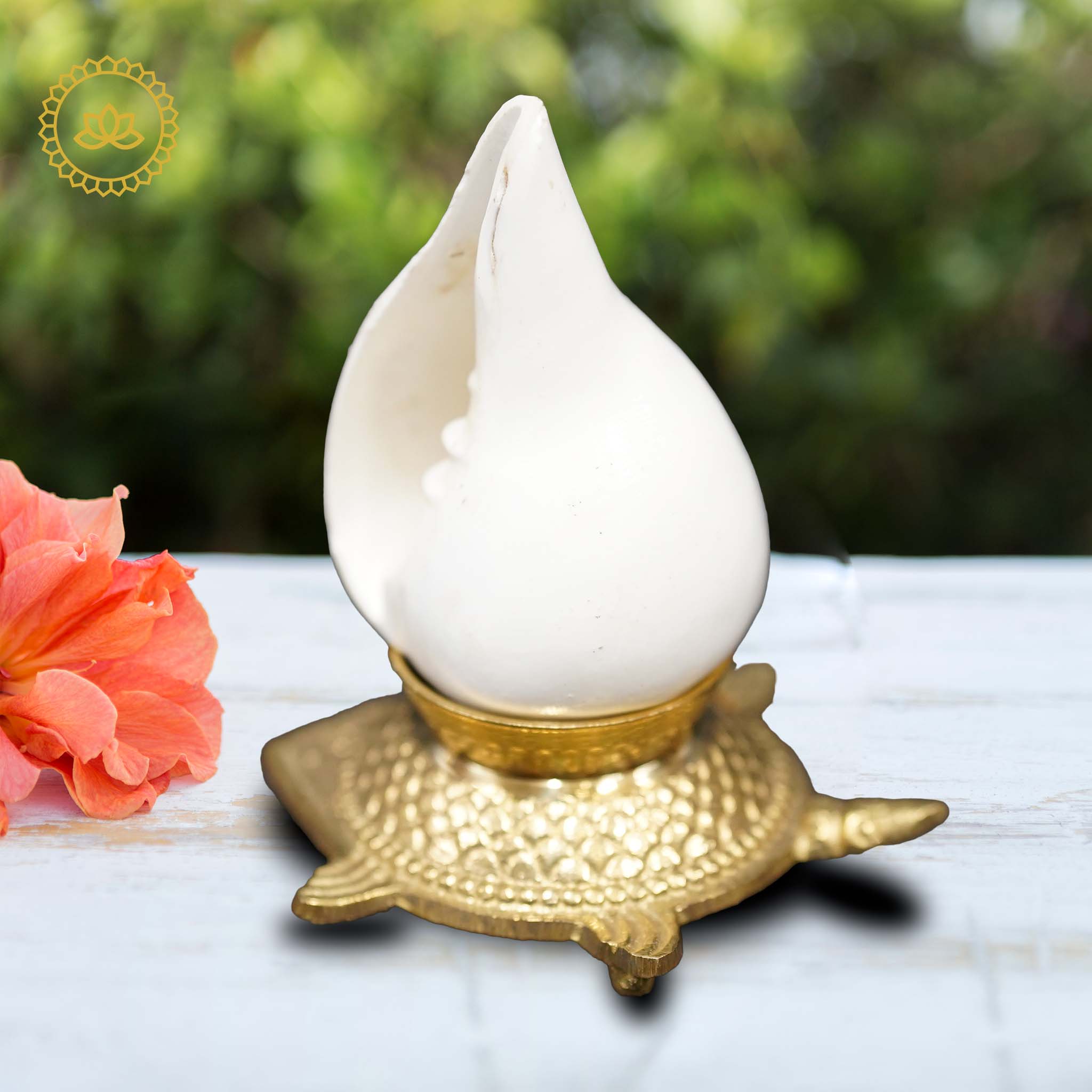 Shank with Brass Stand: Harmonize Your Pooja Rituals - Mytrendzcart