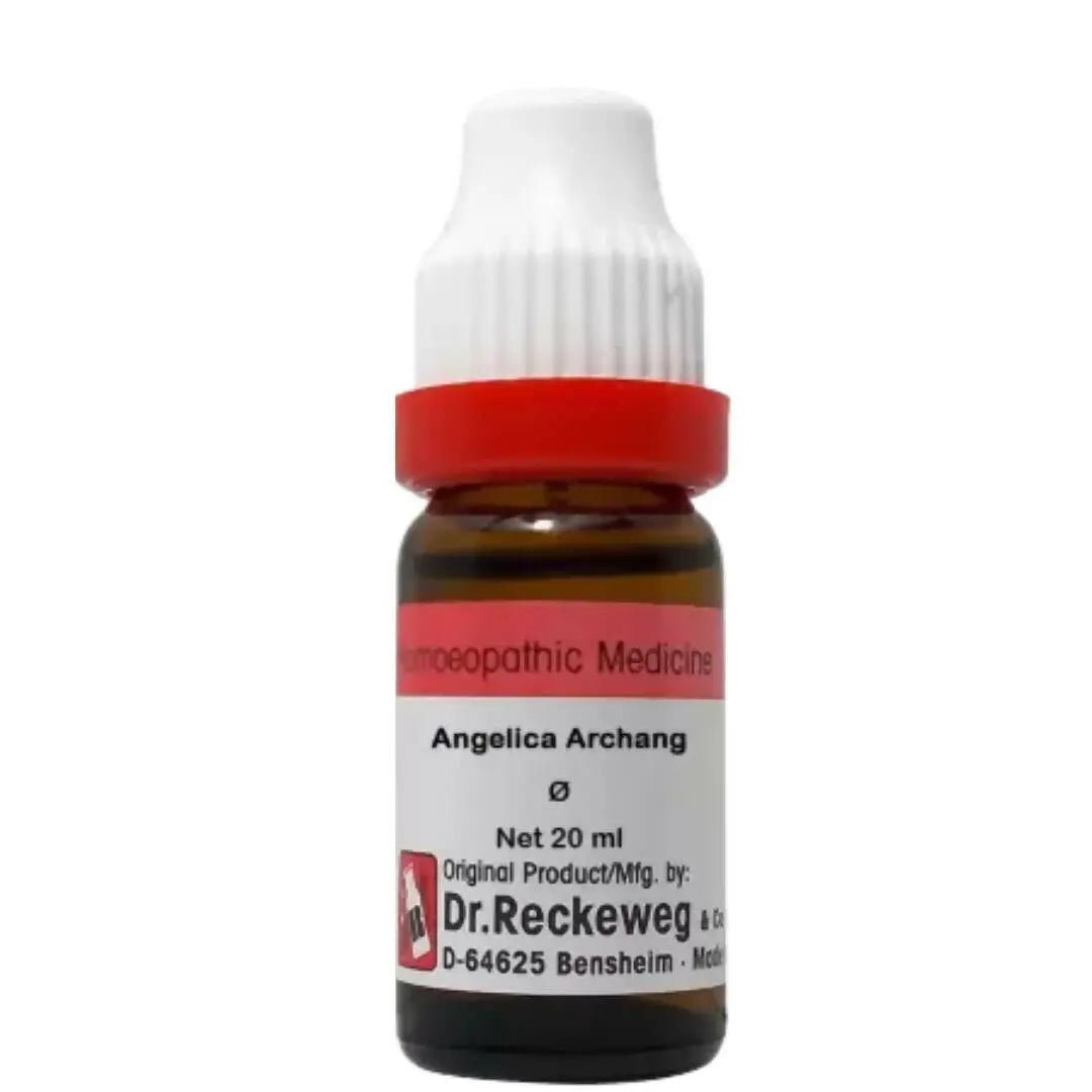 Dr. Reckeweg Angelica Archang Mother Tincture Q - Mytrendzcart