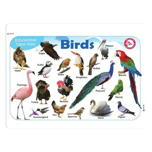 Jolly Kids Picture Learning Educational Table Mat for Kids Set of 8| Ages 2 - 6 Years| Laminated Picture learning Sheet - Mytrendzcart