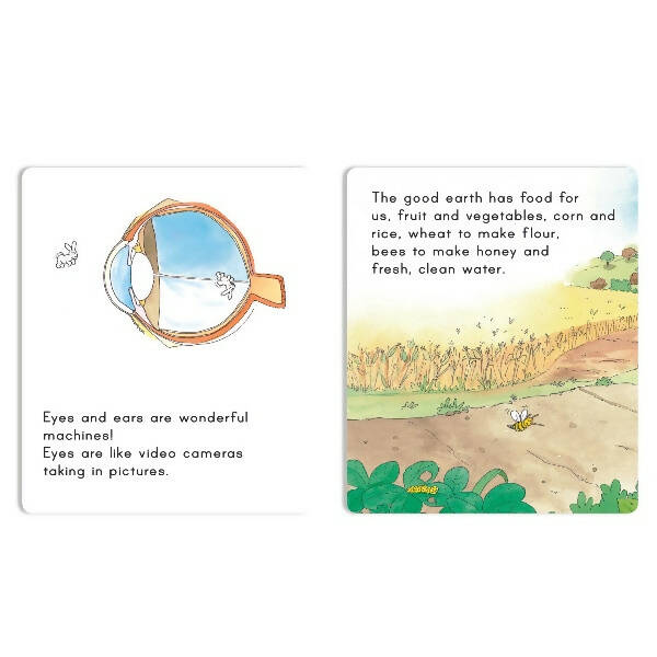 Jolly Scholars Physical Well Being Story Books Set of 8| Promote Physical Health Activity Books Ages 3 - 6 Years - Mytrendzcart