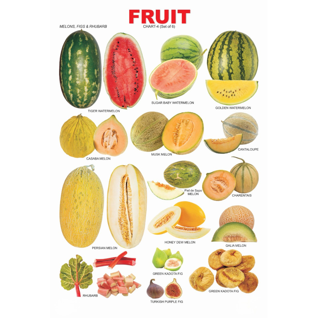 Dreamland Publications Educational Chart for Kids - Fruit Chart - 4 - Mytrendzcart