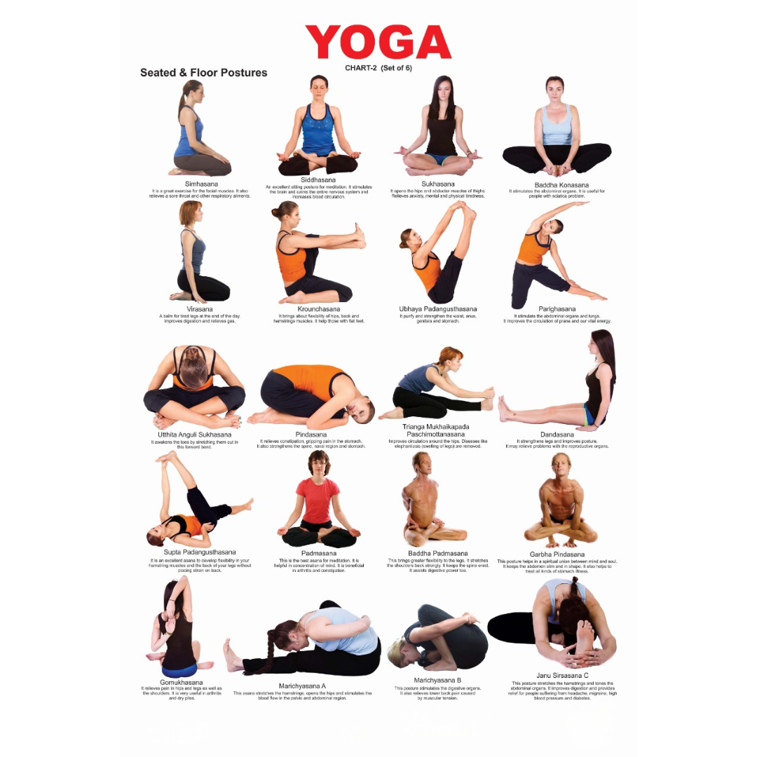 Dreamland Publications Yoga Chart - 2 : Children Reference Educational Laminated Chart - Mytrendzcart