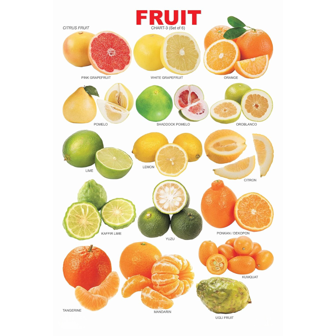 Dreamland Publications Educational Chart for Kids - Fruit Chart - 3 - Mytrendzcart