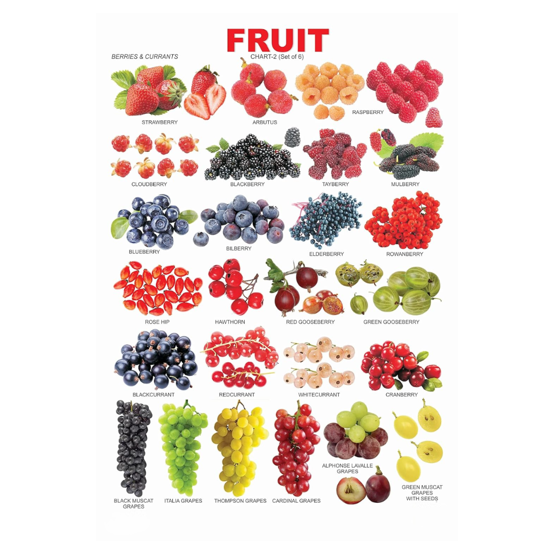 Dreamland Publications Educational Chart for Kids - Fruit Chart - 2 - Mytrendzcart