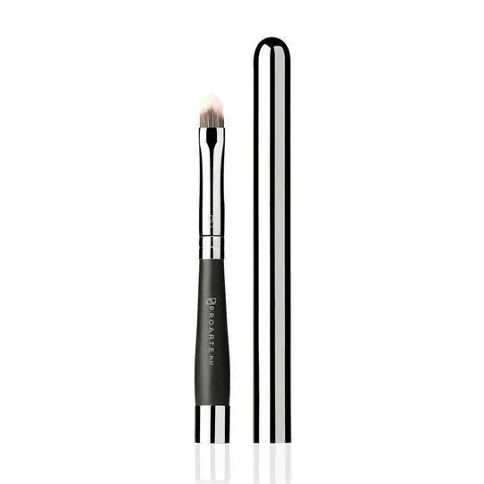 Proarte Retractable Lip Brush PL-37 Mytrendzcart