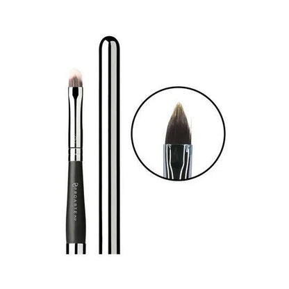 Proarte Retractable Lip Brush PL-37 Mytrendzcart