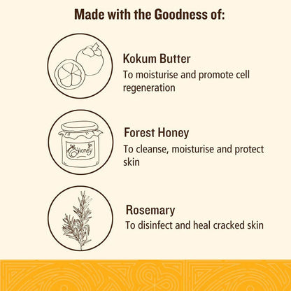 Soultree Hand & Foot Cream - Kokum & Honey With Mountain Rosemary -100 gm Mytrendzcart