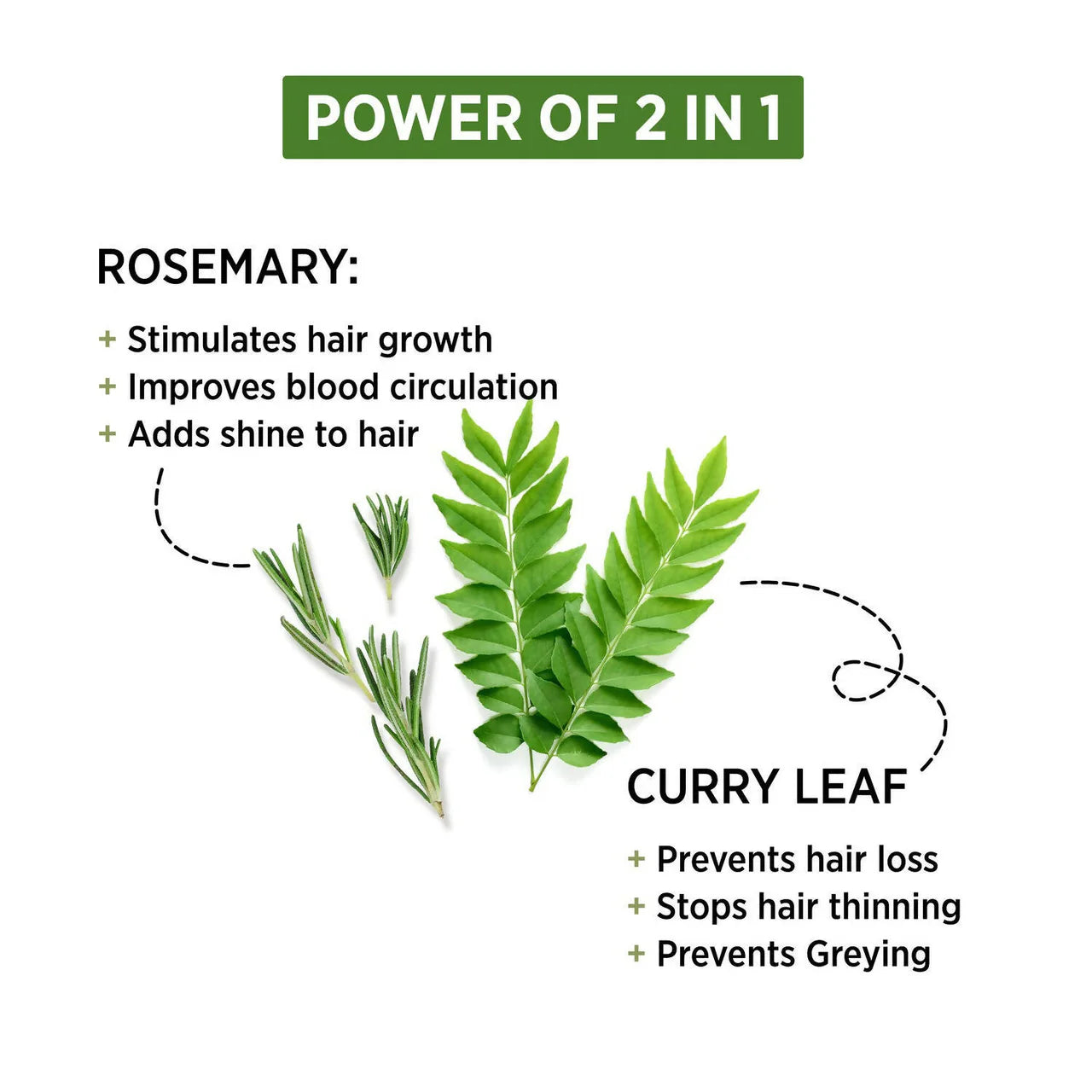 Alps Goodness Rosemary & Curry Leaf Powder -50 gm Mytrendzcart