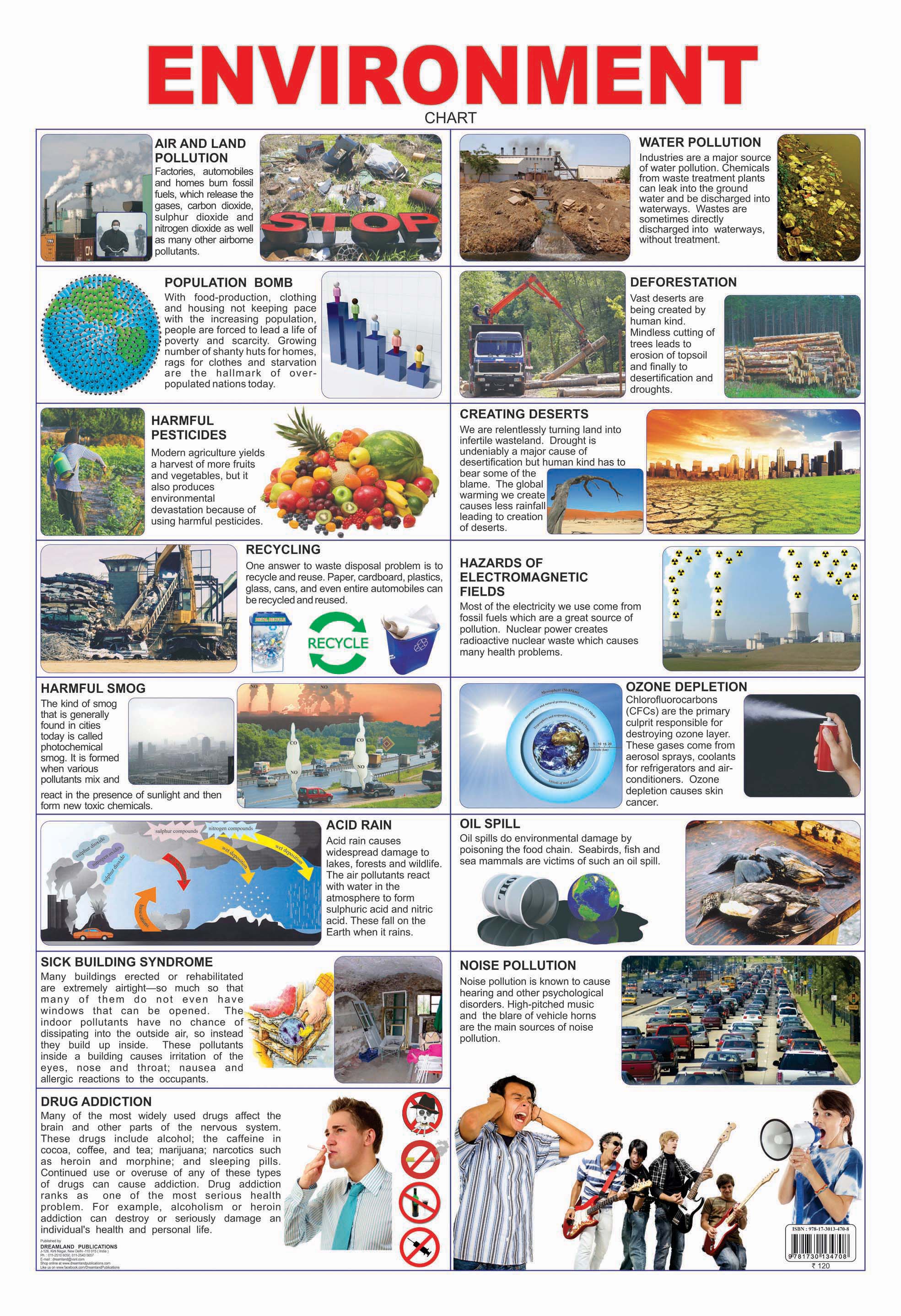 Dreamland Publications Educational Chart for Kids - Environment - Mytrendzcart