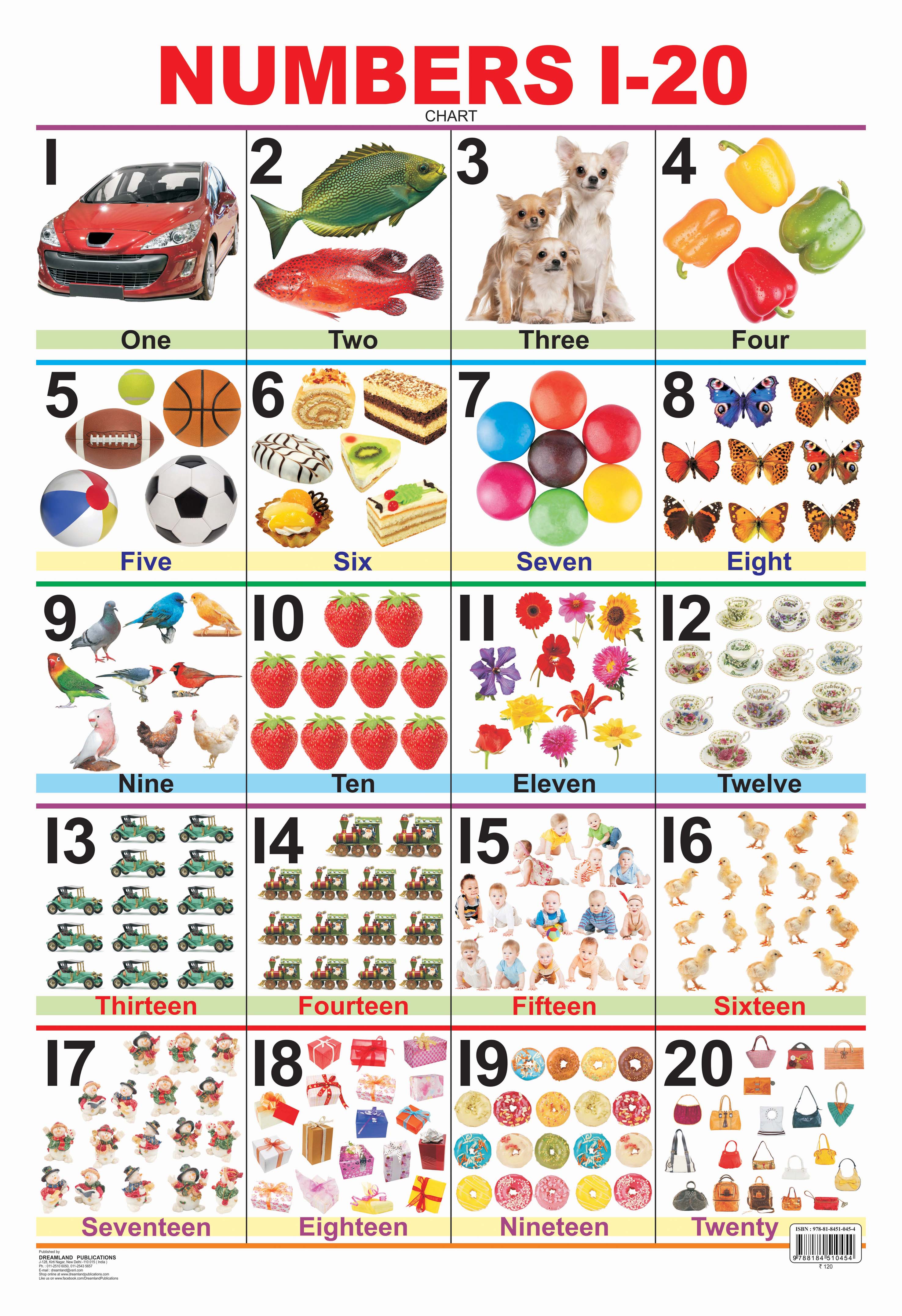 Dreamland Publications Educational Chart for Kids - Numbers 1-20 - Mytrendzcart