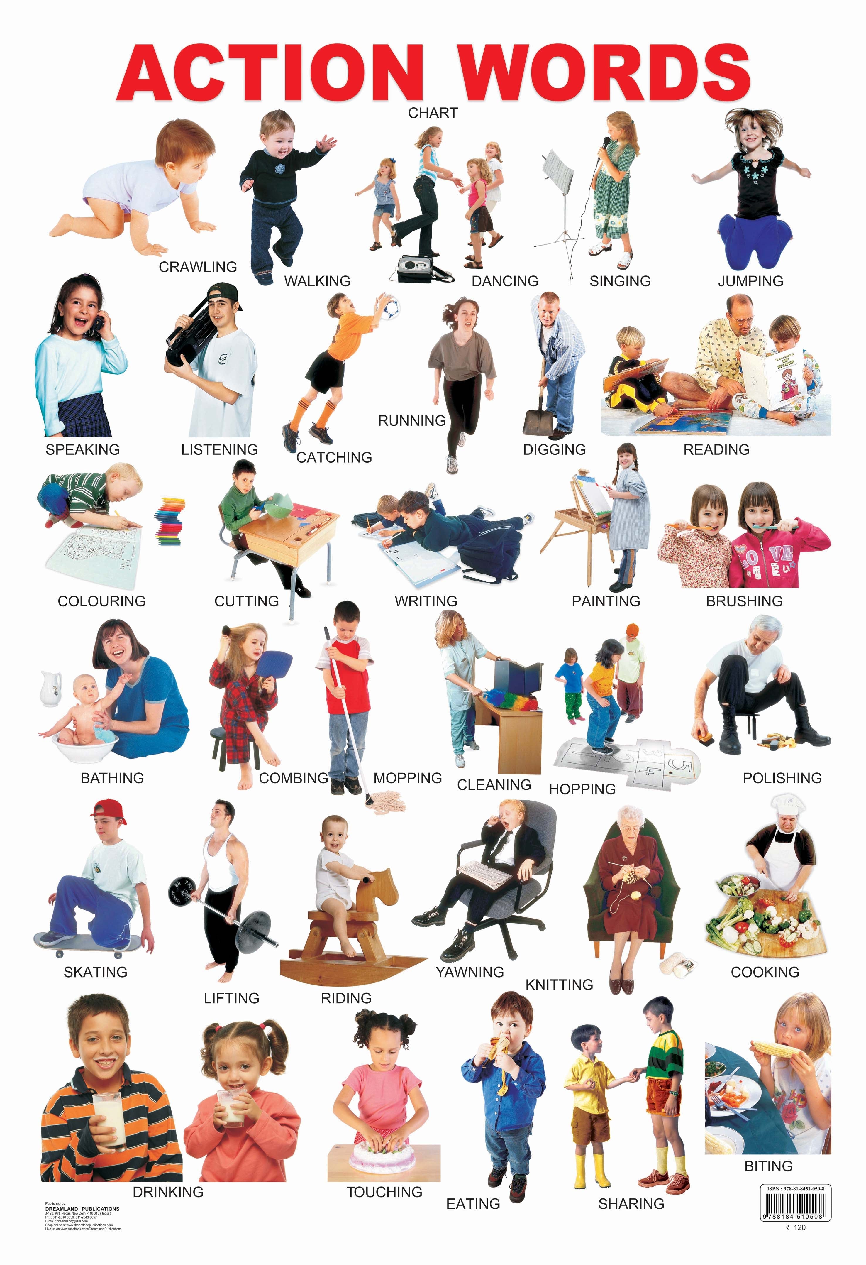 Dreamland Publications Educational Chart for Kids - Action Words - Mytrendzcart