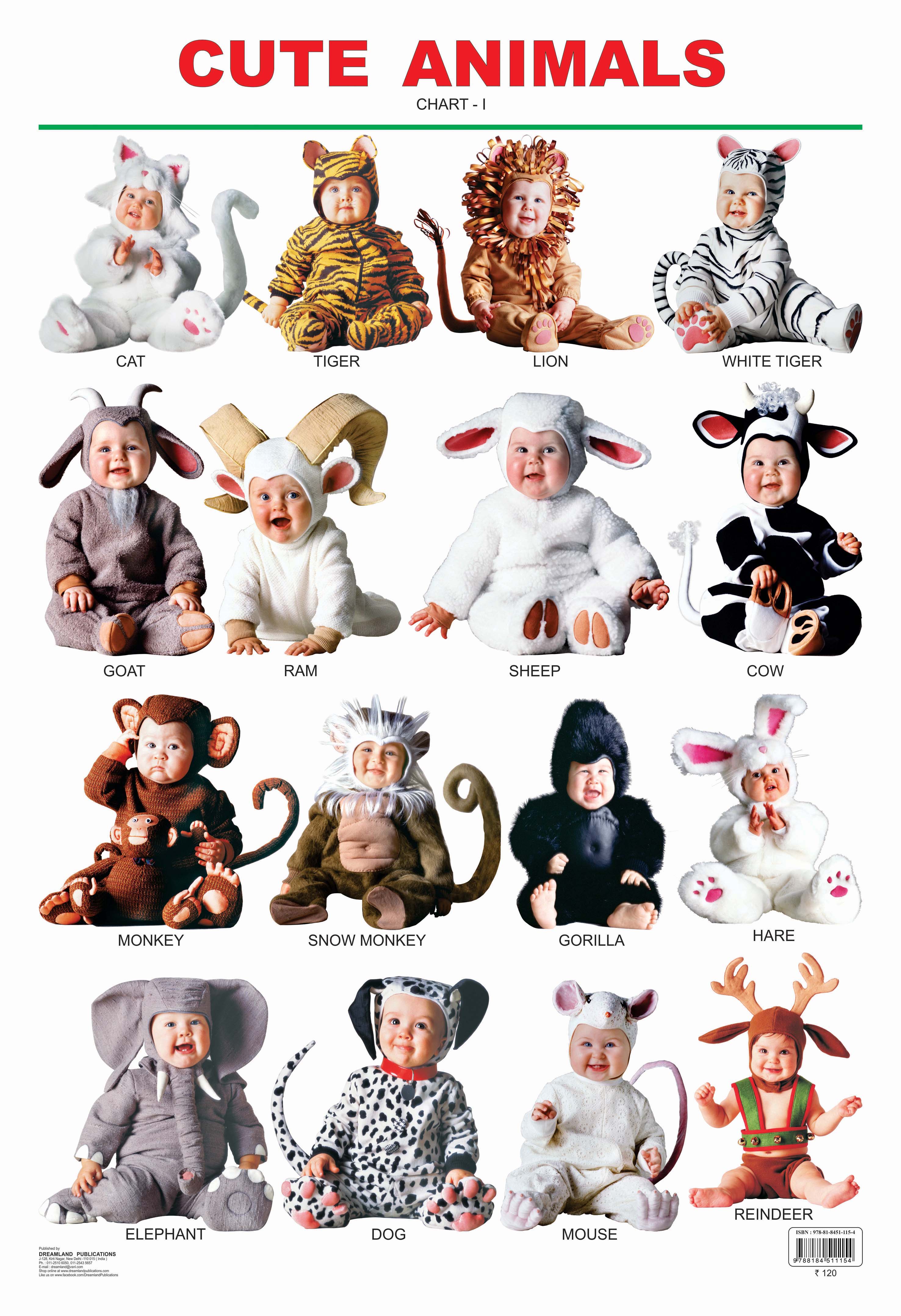 Dreamland Publications Educational Chart for Kids - Cute Animals - 1 - Mytrendzcart