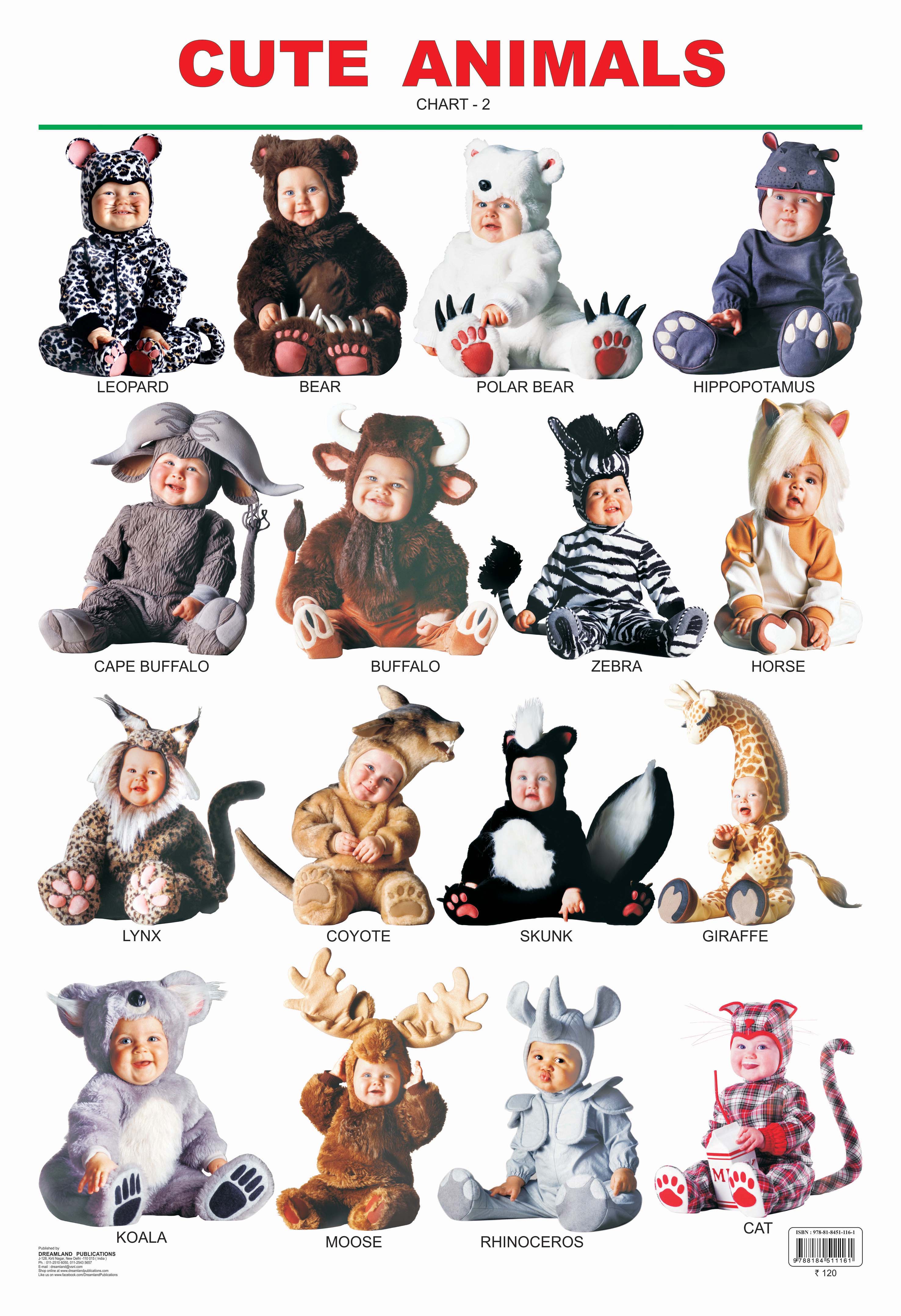 Dreamland Publications Educational Chart for Kids - Cute Animals - 2. - Mytrendzcart