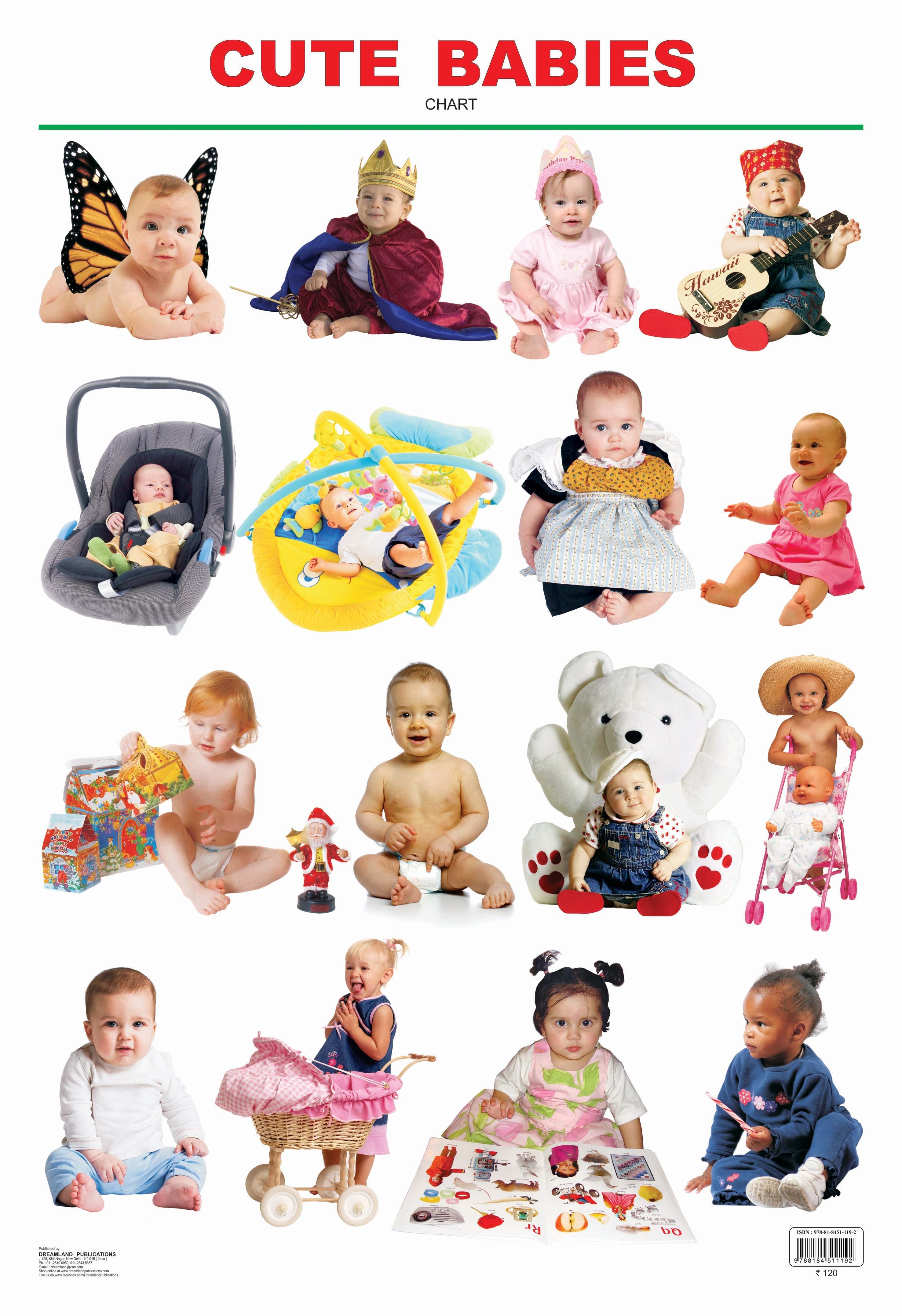 Dreamland Publications Educational Chart for Kids - Cute Babies - Mytrendzcart