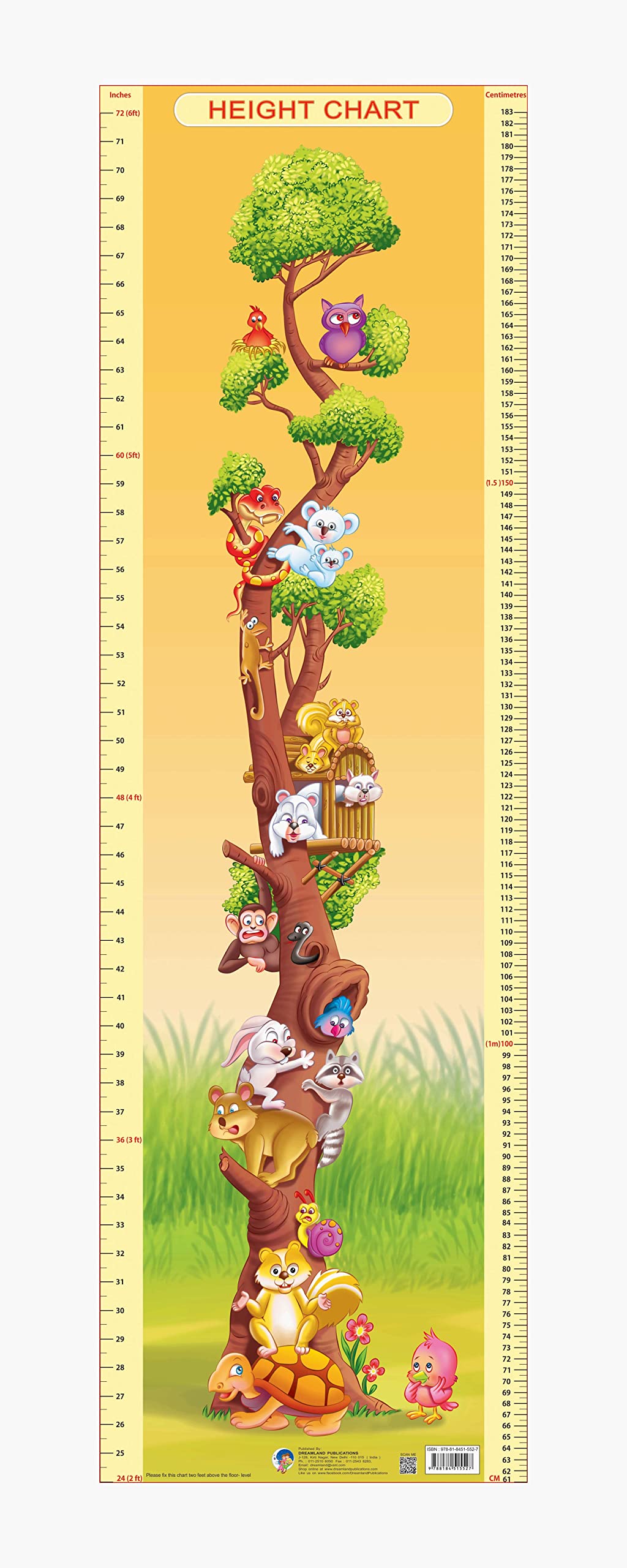 Dreamland Publications Educational Chart for Kids - Height Chart - 2 - Mytrendzcart