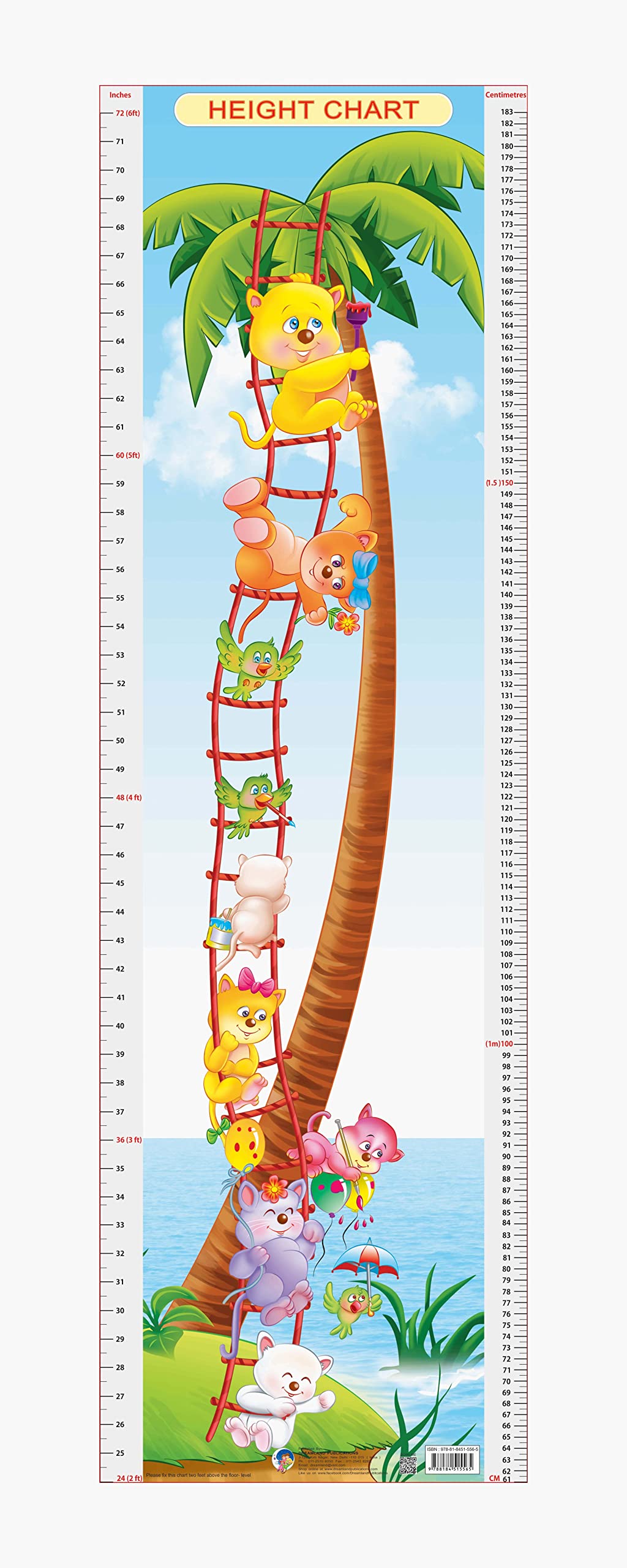 Dreamland Publications Educational Chart for Kids - Height Chart - 6 - Mytrendzcart