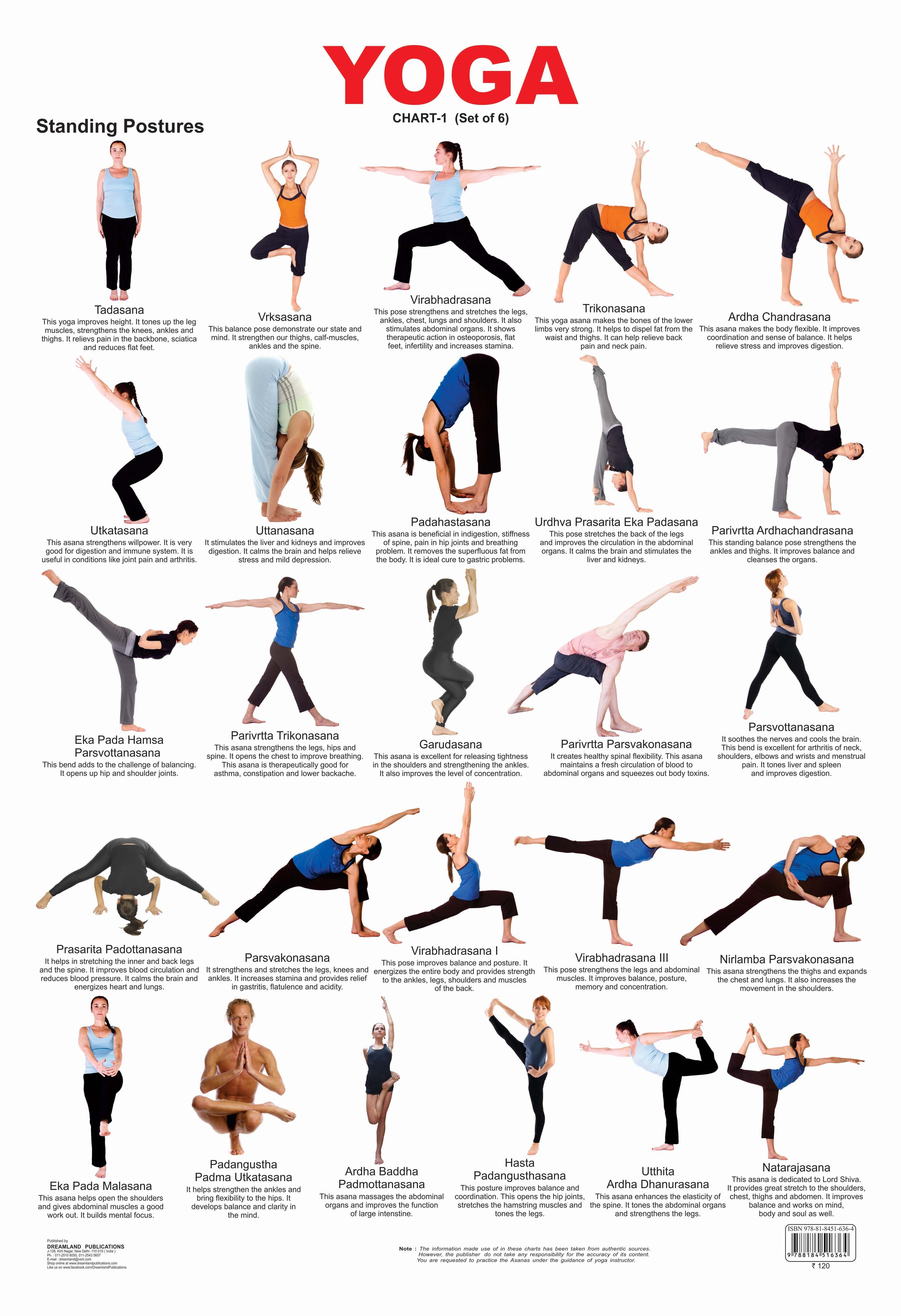 Dreamland Publications Educational Chart for Kids - Yoga Chart - 1 - Mytrendzcart