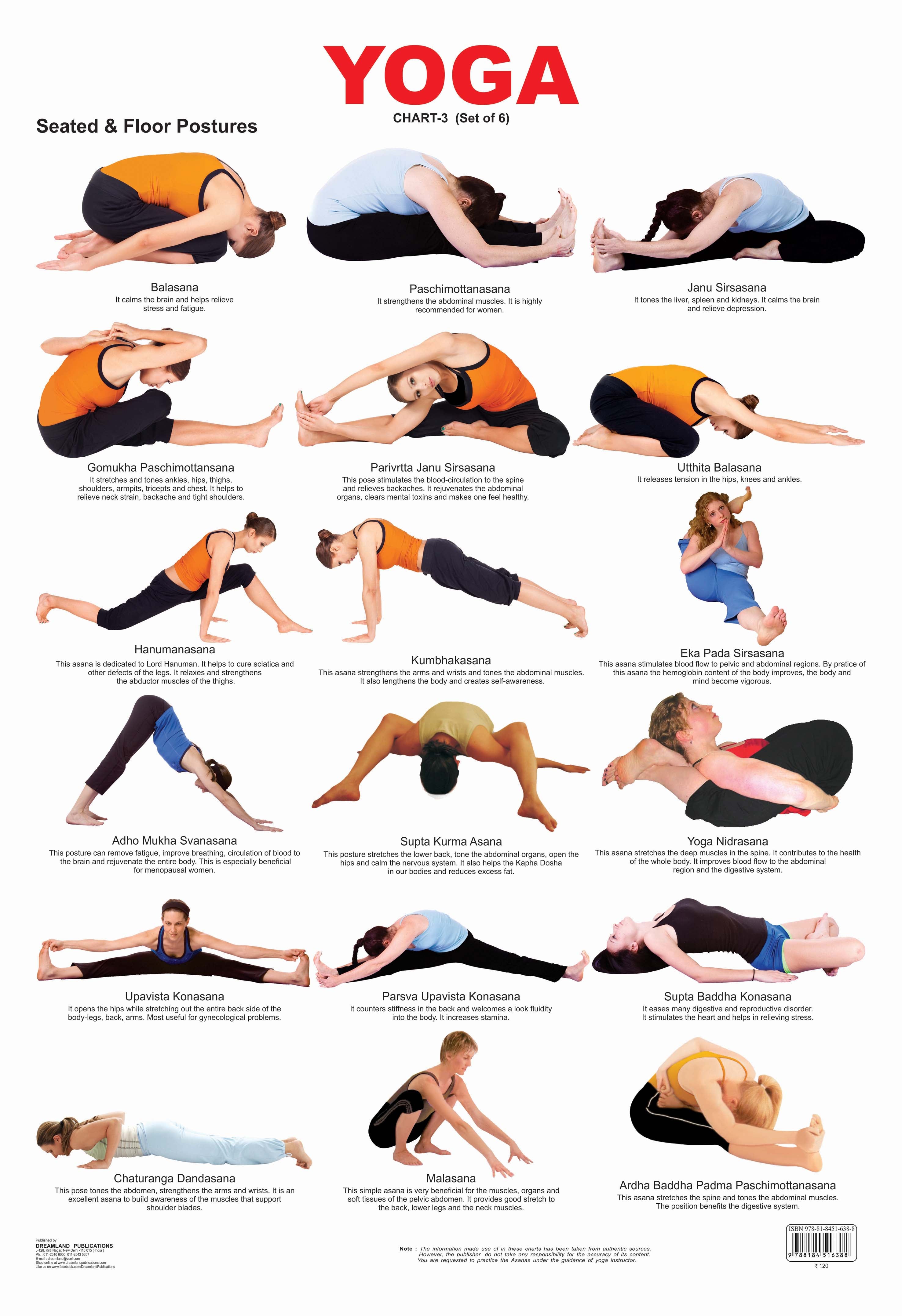 Dreamland Publications Educational Chart for Kids - Yoga Chart - 3 - Mytrendzcart