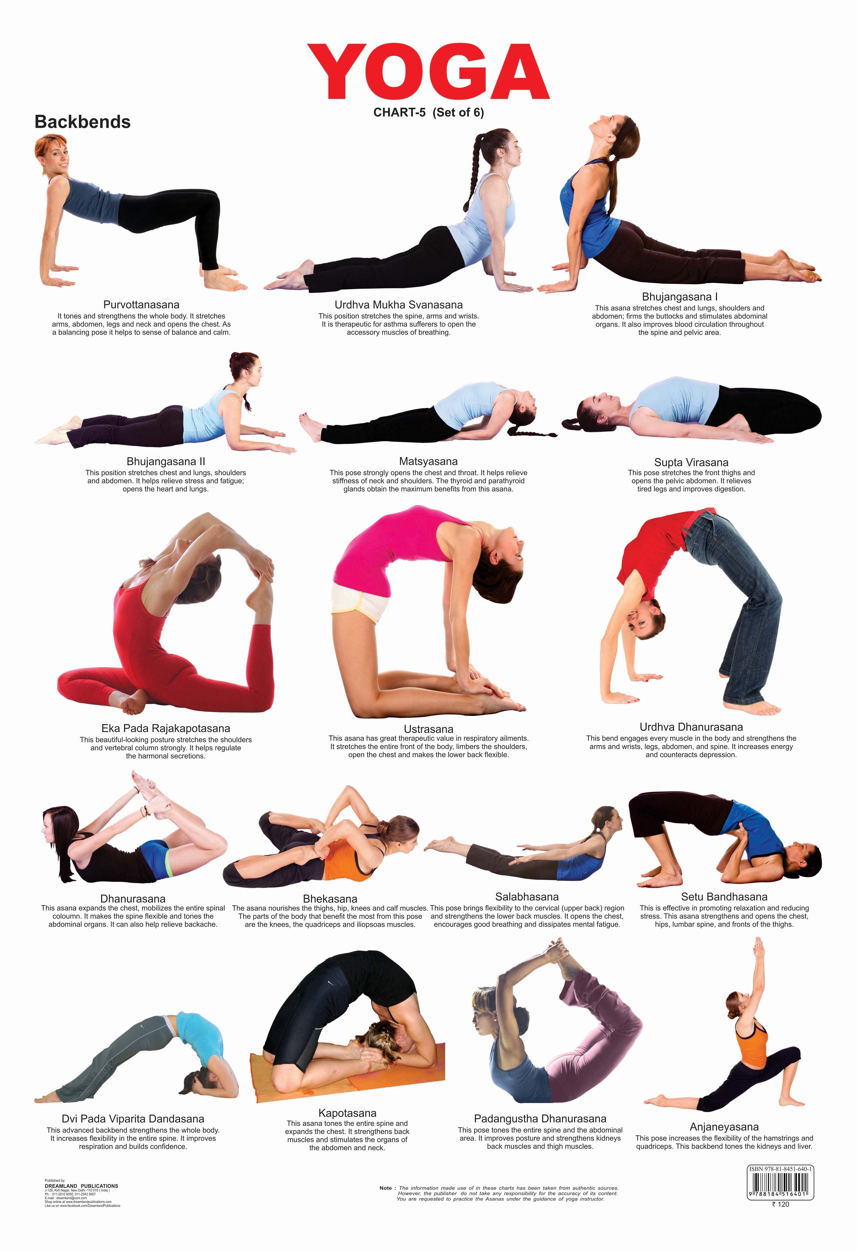 Dreamland Publications Educational Chart for Kids - Yoga Chart - 5 - Mytrendzcart