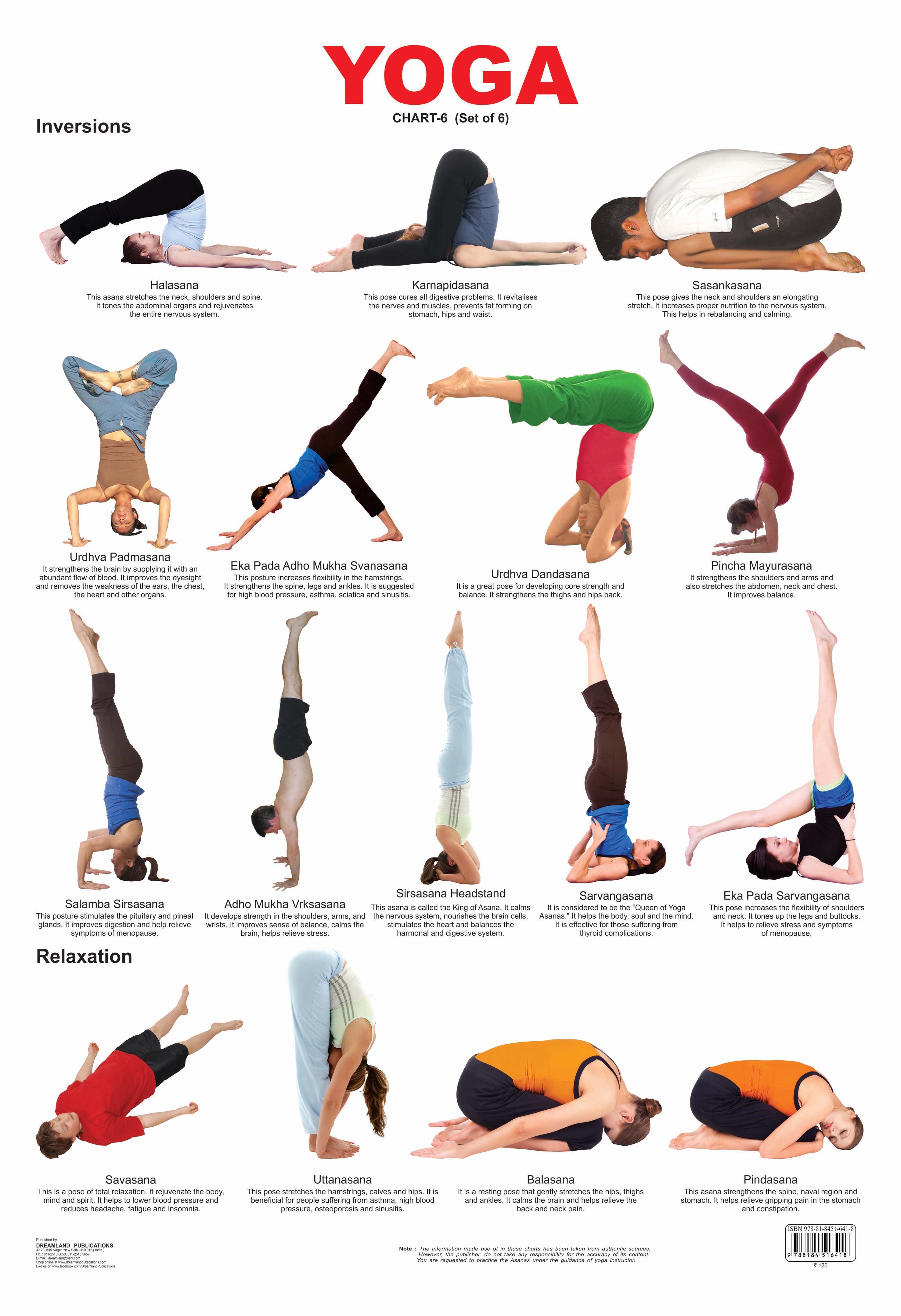 Dreamland Publications Educational Chart for Kids - Yoga Chart - 6 - Mytrendzcart