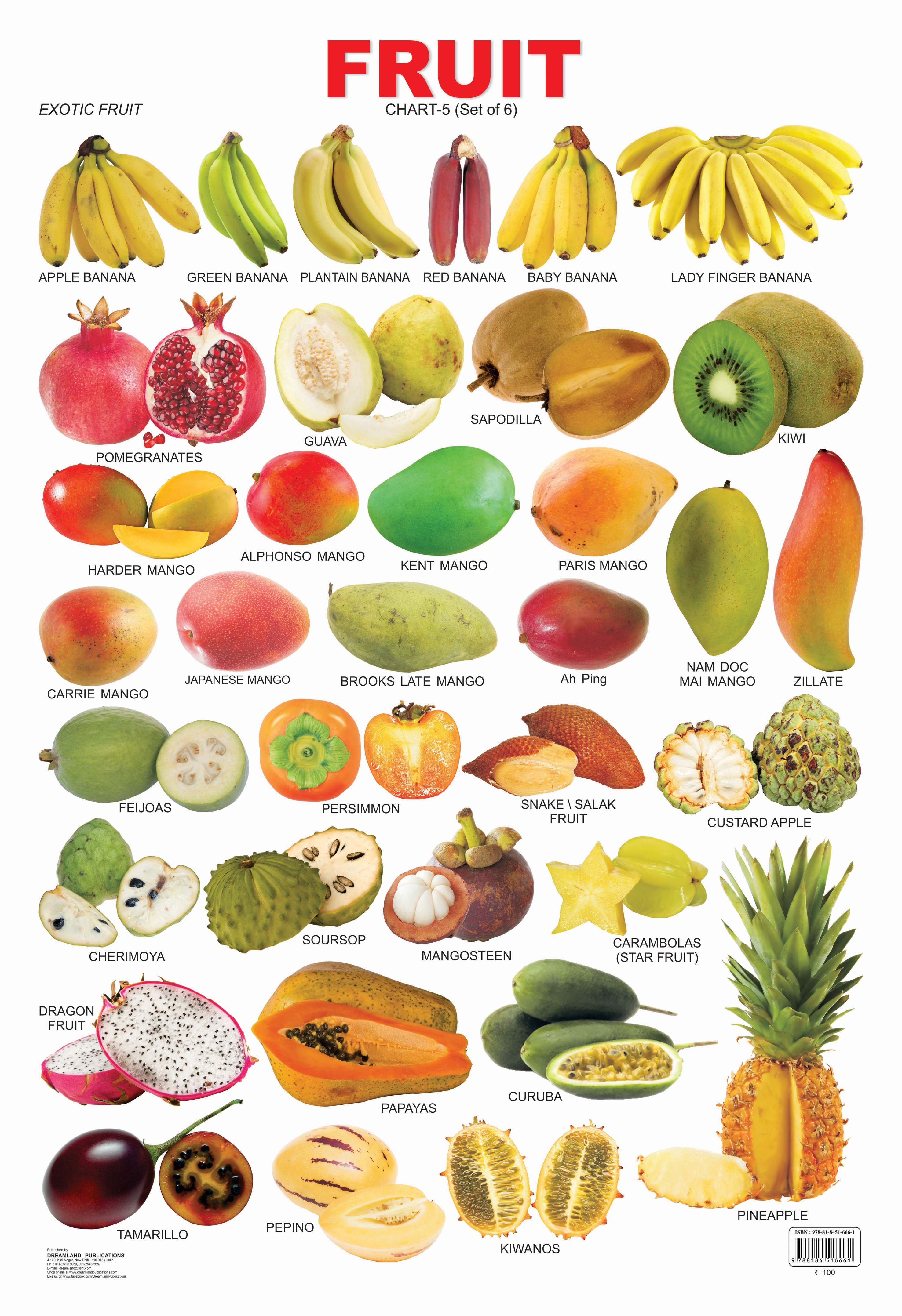 Dreamland Publications Educational Chart for Kids - Fruit Chart - 5 - Mytrendzcart