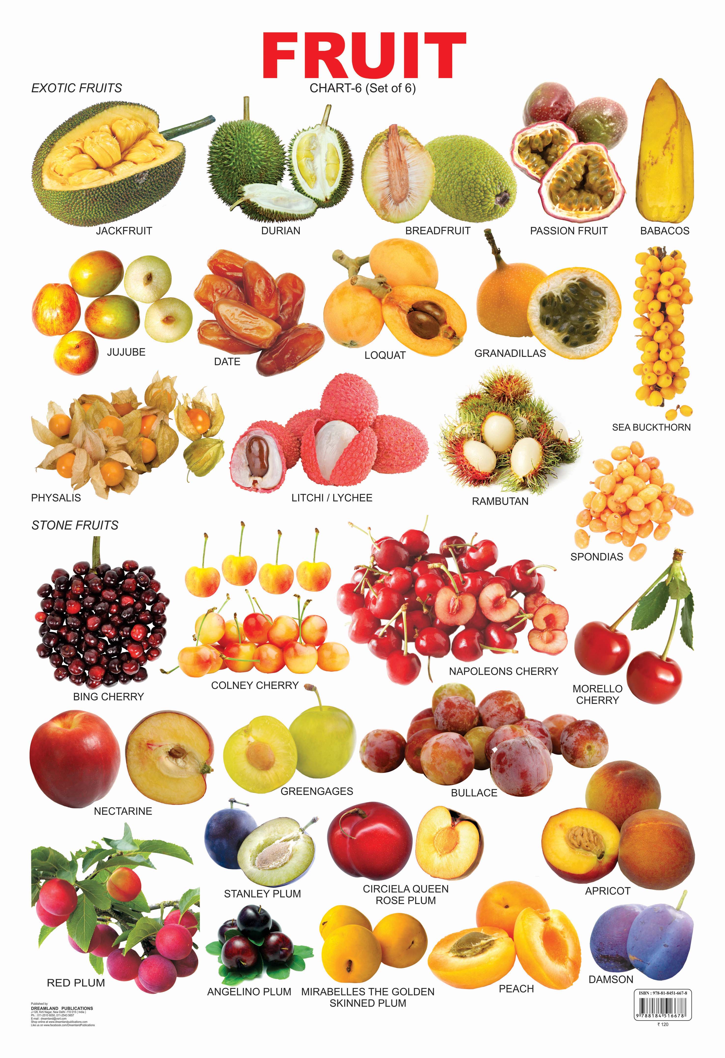 Dreamland Publications Educational Chart for Kids - Fruit Chart - 6 - Mytrendzcart