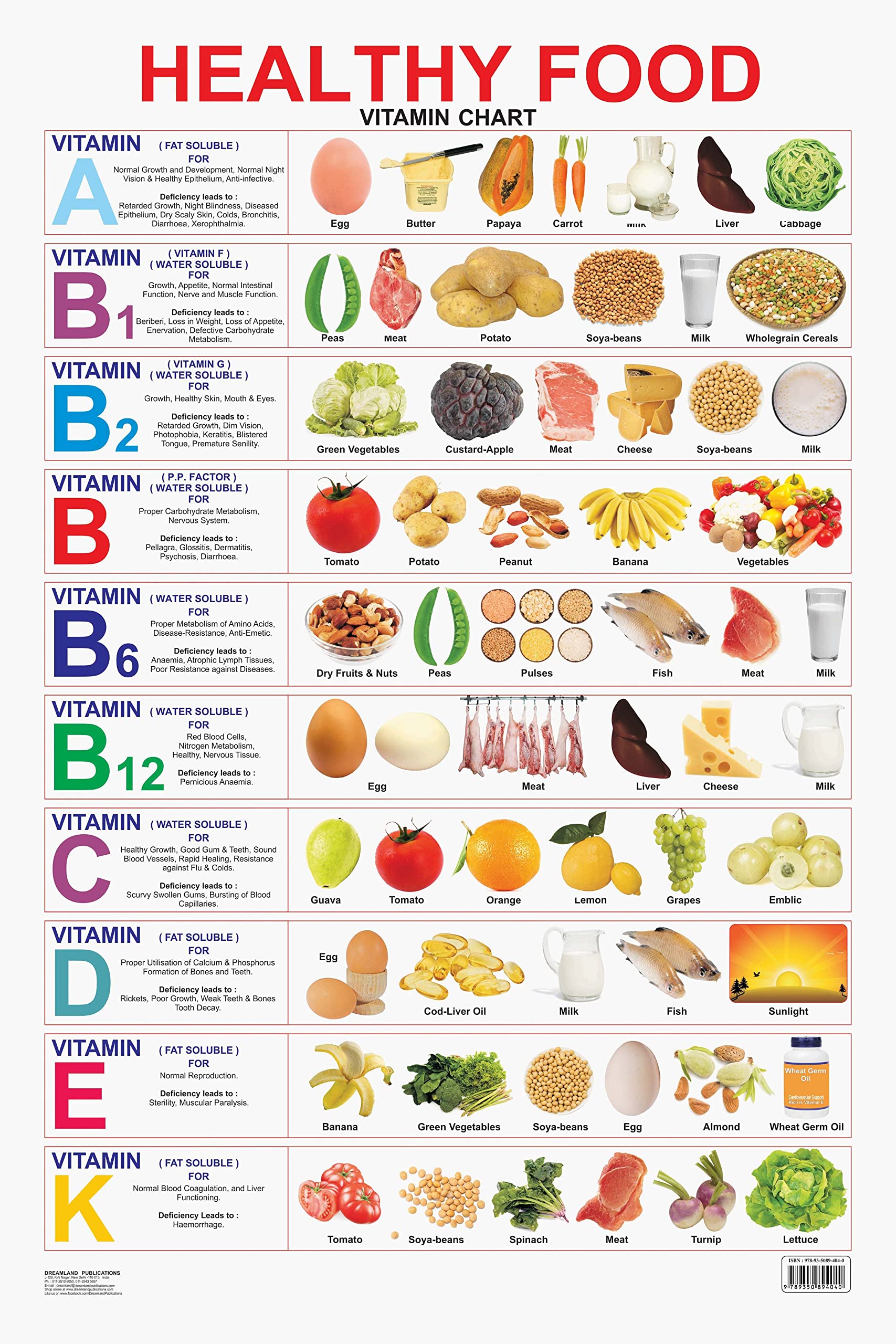 Dreamland Publications Educational Chart for Kids - Healthy Food (Vitamin Chart) - Mytrendzcart