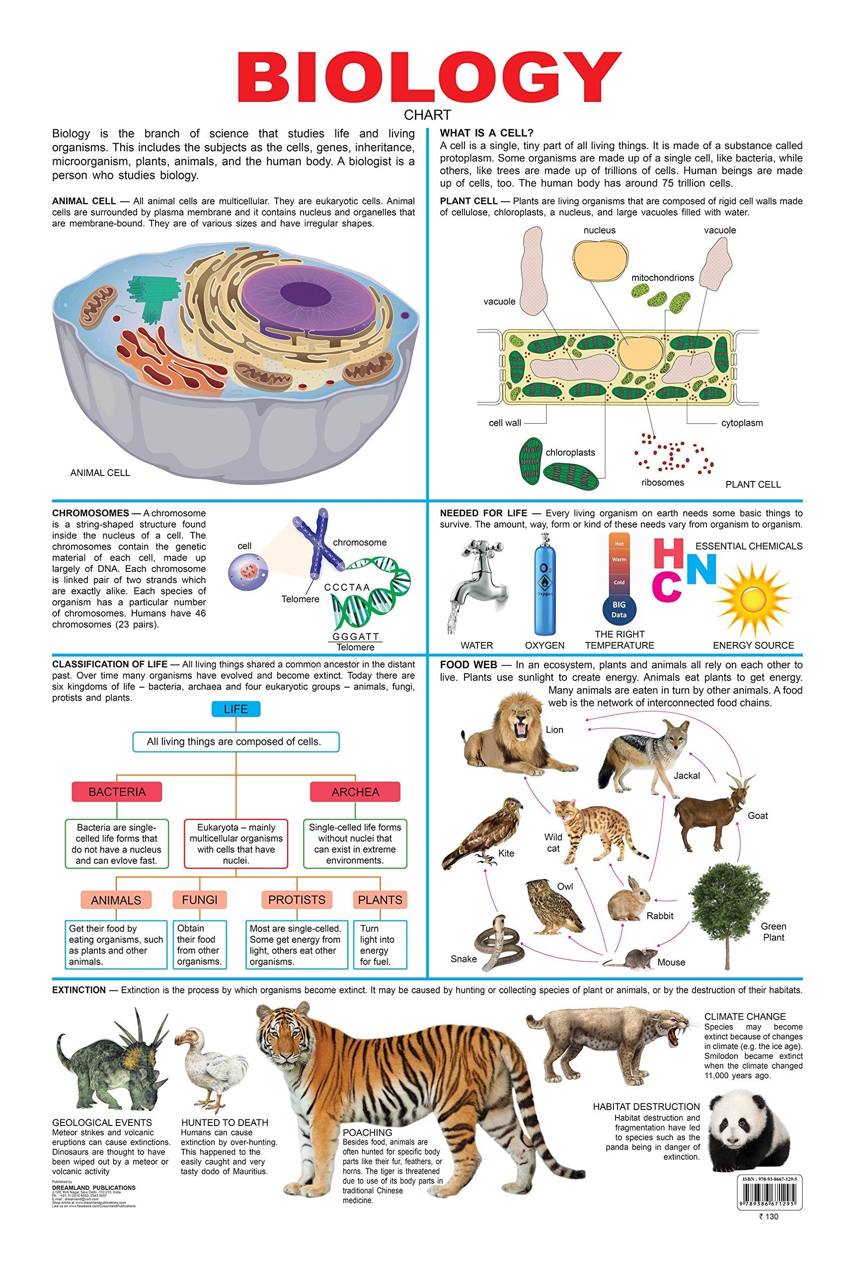 Dreamland Publications Biology : Children Reference Educational Laminated Chart - Mytrendzcart