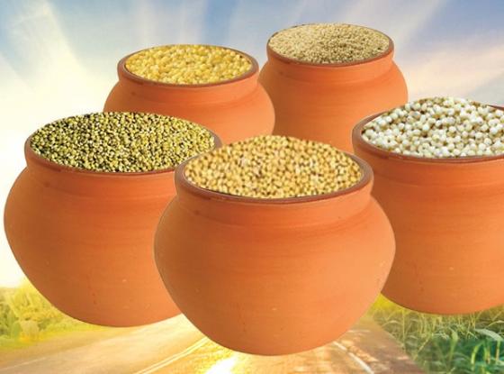 Siridhanyalu Millets - Siridhanya 5 Types Of Unpolished Organic Millets Rice Little, Kodo, Browntop Barnyard & Foxtail -Pack of 5 - 3 kg Each Mytrendzcart