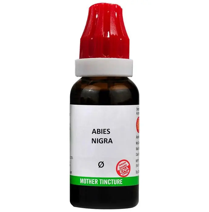 Bjain Homeopathy Abies Nigra Mother Tincture Q - Mytrendzcart