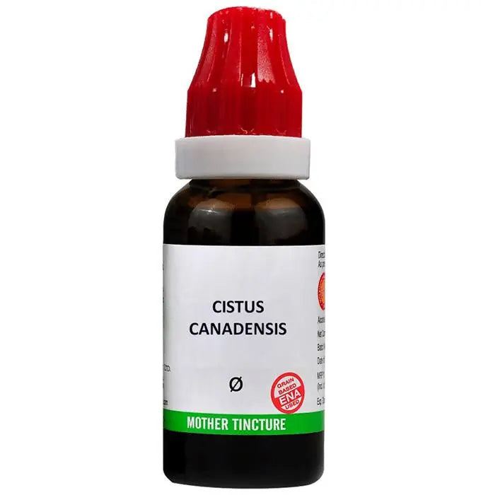 Bjain Homeopathy Cistus Canadensis Mother Tincture Q - Mytrendzcart