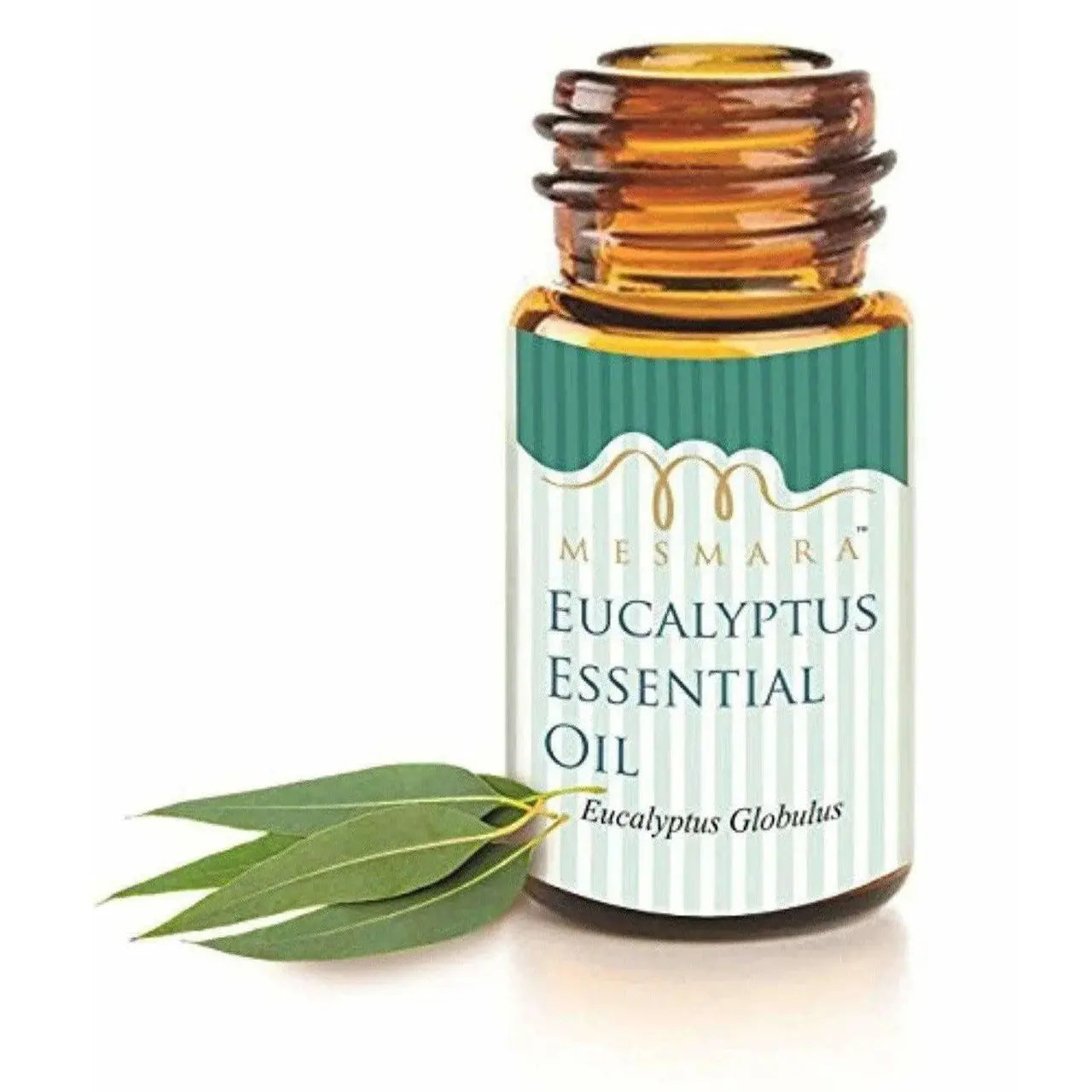 Mesmara Eucalyptus Essential Oil 30 ml 100% Pure Natural & Undiluted -30 ml - Mytrendzcart