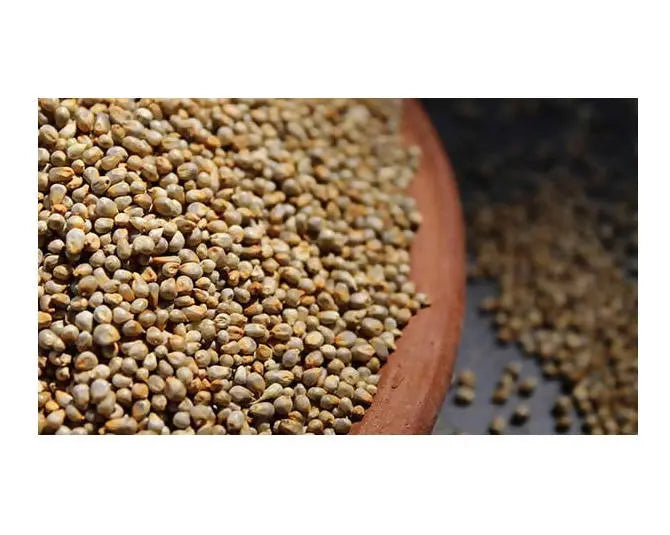 Millet Amma Bajra (Pearl Millet) Organic -500 gm - Mytrendzcart