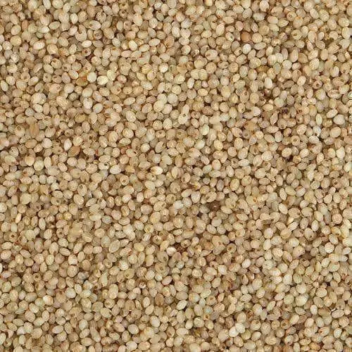 Organic Little Millet -1 kg- 2.2 lbs - Mytrendzcart