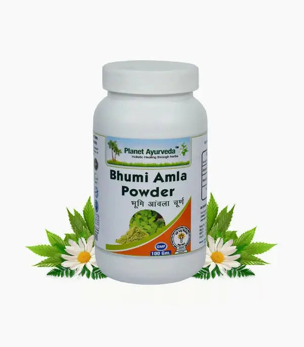 Planet Ayurveda Bhumi Amla Powder - Mytrendzcart