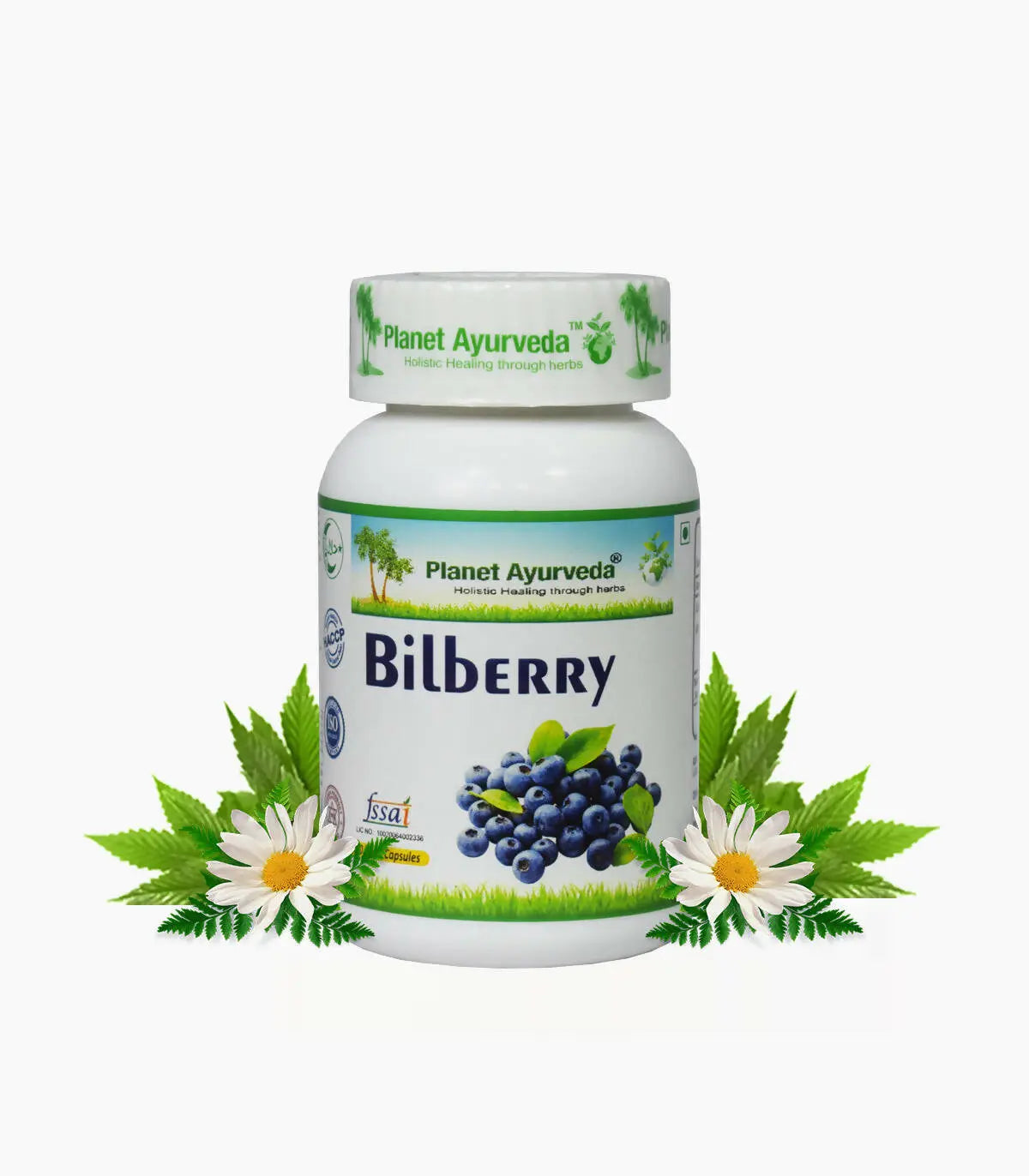 Planet Ayurveda Bilberry Capsules - Mytrendzcart