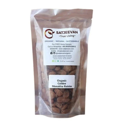 Satjeevan Organic Golden Munakka Raisins -200 gm - Mytrendzcart