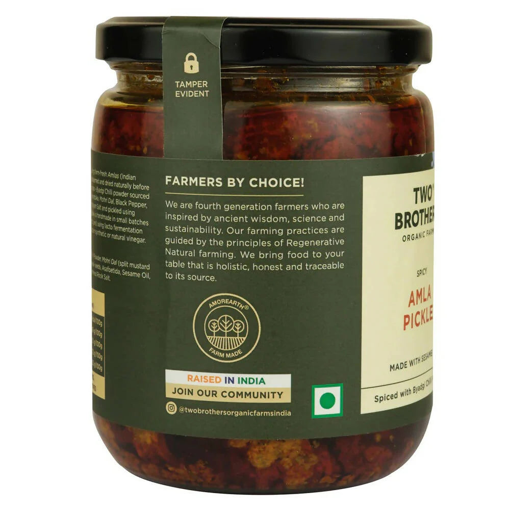 Two Brothers Organic Farms Spicy Amla Pickle -500 gm Mytrendzcart