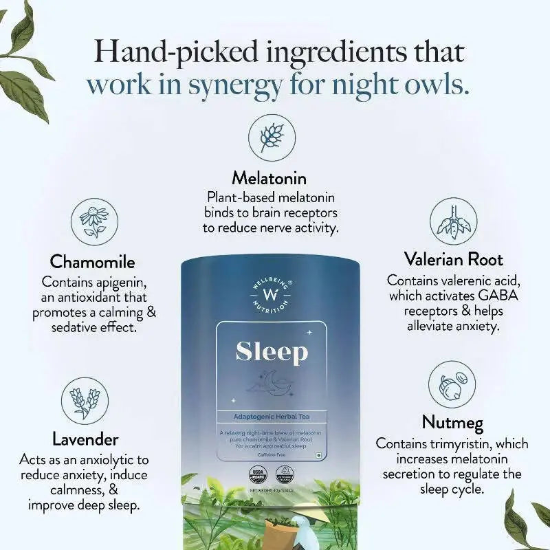 Wellbeing Nutrition Sleep Tea -40 gm - Mytrendzcart