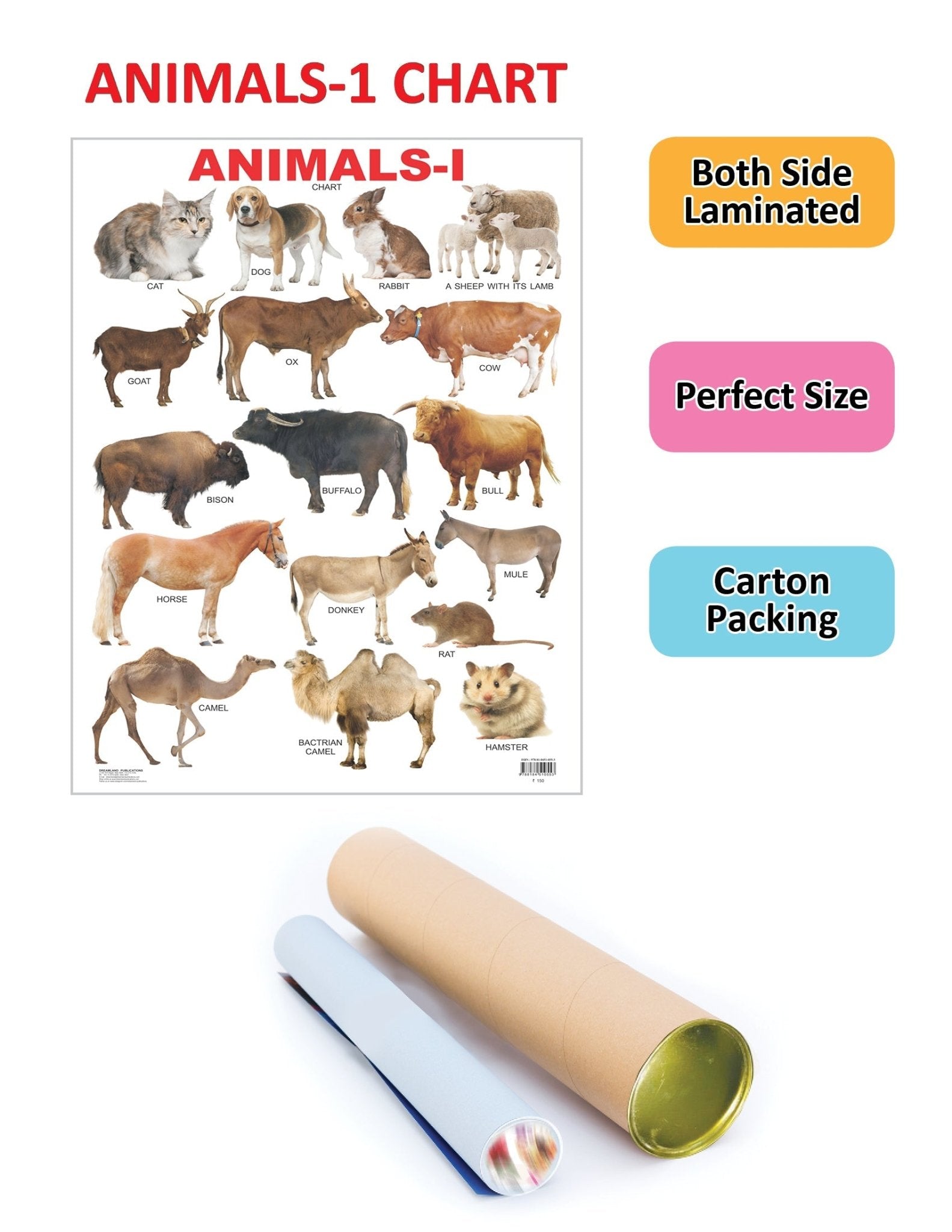 Dreamland Publications Educational Chart for Kids - Animals - 1 - Mytrendzcart