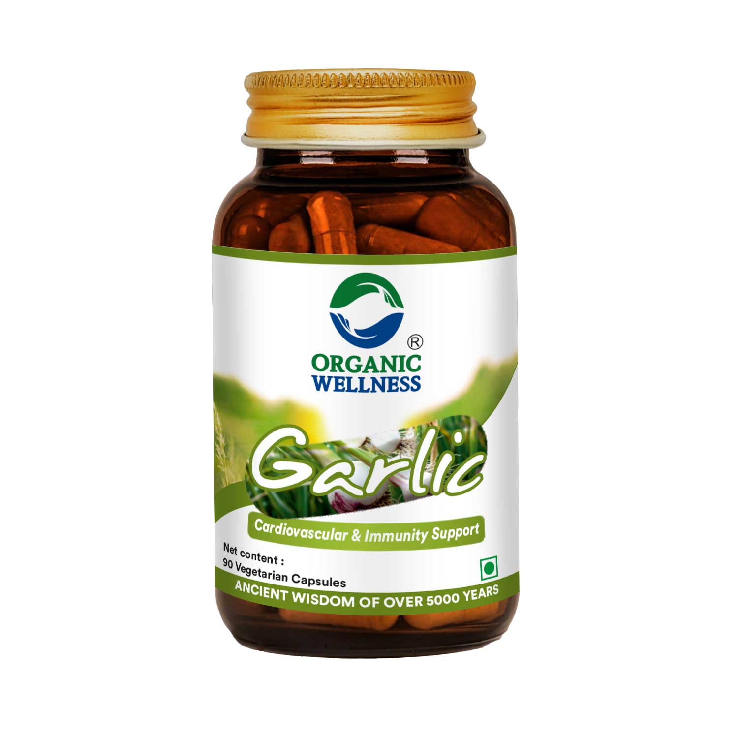 Organic Wellness Garlic Vegetarian Capsules - Mytrendzcart