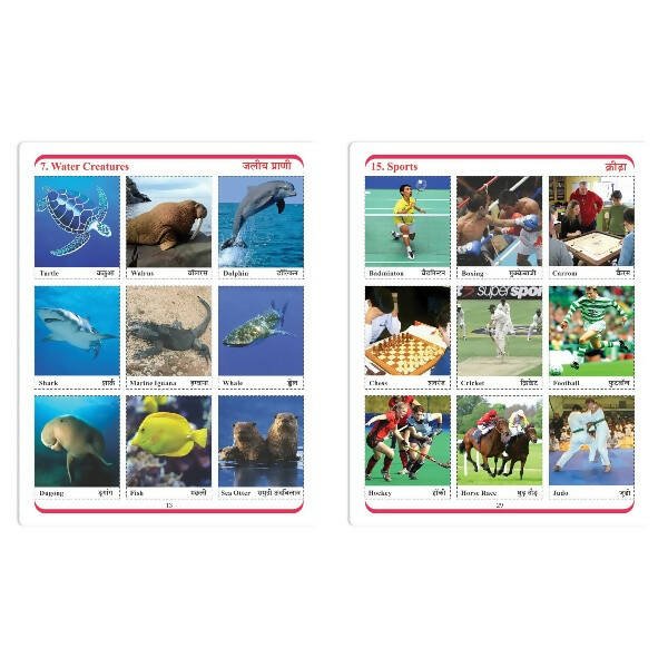 Jolly Kids Cut & Paste Project, Activities & Scrap Books Set of 4| Activity Charts - Flowers, Animals, National Flags etc - Mytrendzcart