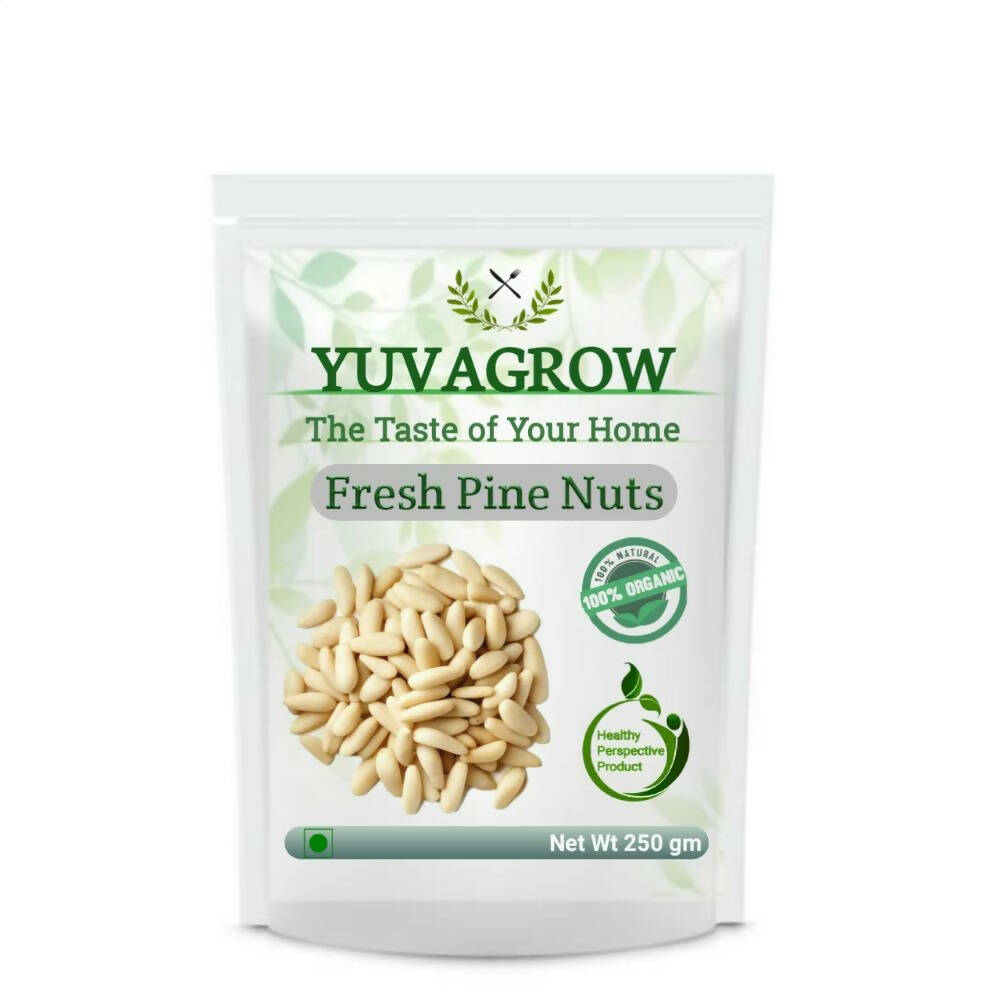 Yuvagrow Fresh Pine Nuts - Mytrendzcart